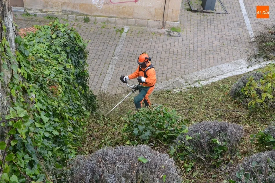 Foto 7 - Llega una cuadrilla de jardines de la Diputaci&oacute;n dedicada al arreglo de entornos patrimoniales  