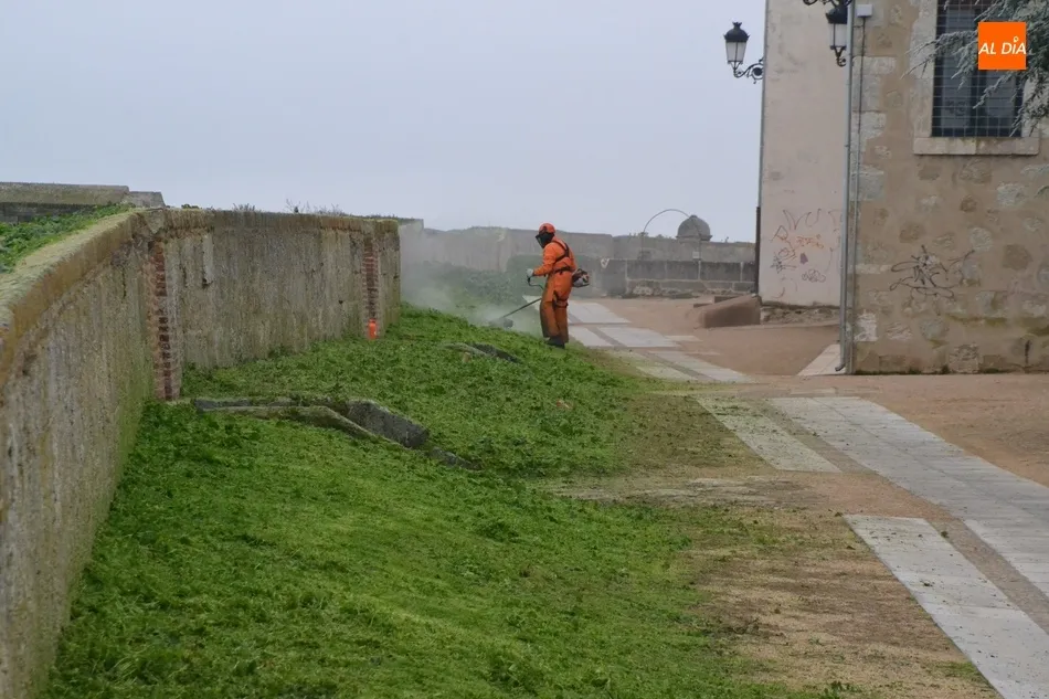 Foto 6 - Llega una cuadrilla de jardines de la Diputaci&oacute;n dedicada al arreglo de entornos patrimoniales  