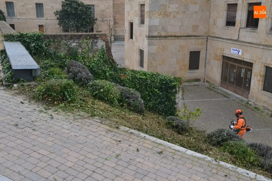 Foto 9 - Llega una cuadrilla de jardines de la Diputaci&oacute;n dedicada al arreglo de entornos patrimoniales  