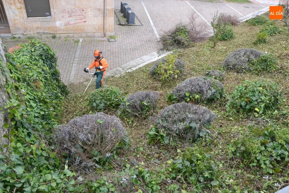 Foto 8 - Llega una cuadrilla de jardines de la Diputaci&oacute;n dedicada al arreglo de entornos patrimoniales  