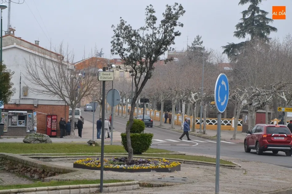 Foto 4 - En marcha la retirada de la iluminaci&oacute;n navide&ntilde;a, que vuelve a dejar &lsquo;sola&rsquo; a la Encina Flaca ...