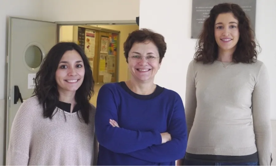 Integrantes del grupo de Mercedes Dosil, profesora titular en el Departamento de Bioquímica y Biología Molecular de la Universidad de Salamanca e investigadora del Centro de Investigación del Cáncer de Salamanca (CIC)