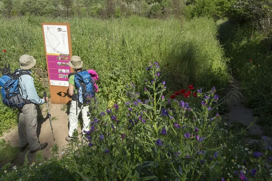 Foto 3 - El Camino de los Prodigios, una ruta para disfrutar del arte en la naturaleza  