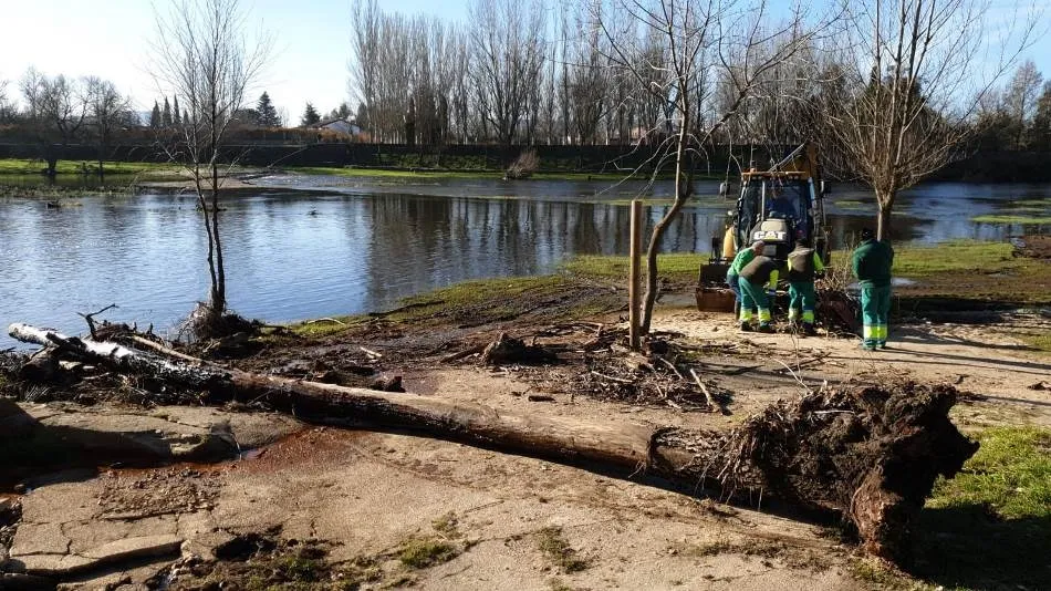 El Ayuntamiento retira la maleza arrastrada por el Águeda en la gran crecida de diciembre  