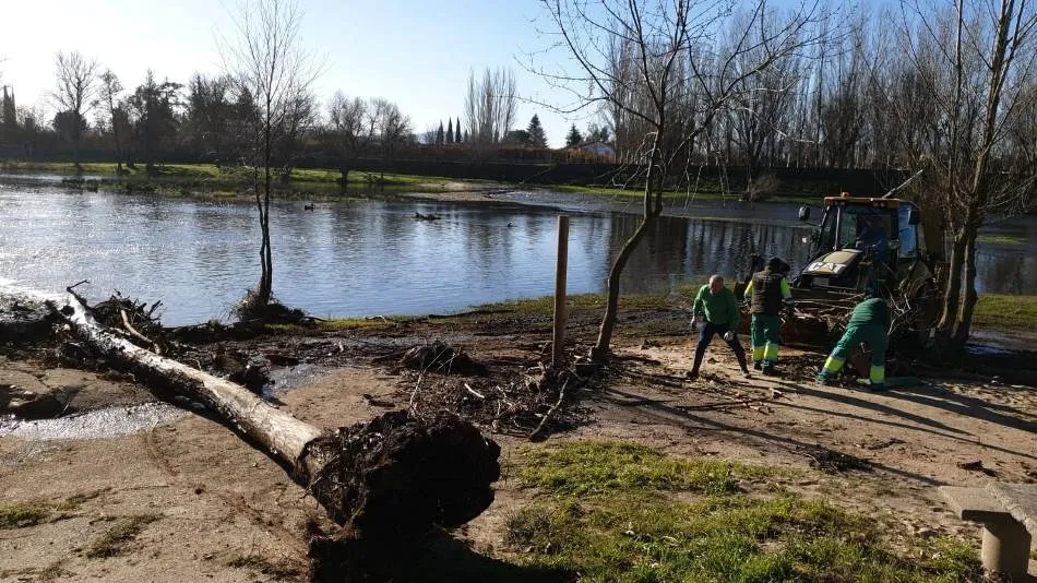 Foto 2 - El Ayuntamiento retira la maleza arrastrada por el &Aacute;gueda en la gran crecida de diciembre  