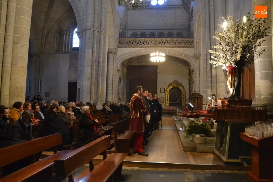 Foto 10 - San Sebasti&aacute;n llega al centro hist&oacute;rico entrando en la Catedral por su P&oacute;rtico del Perd&oacute;n  