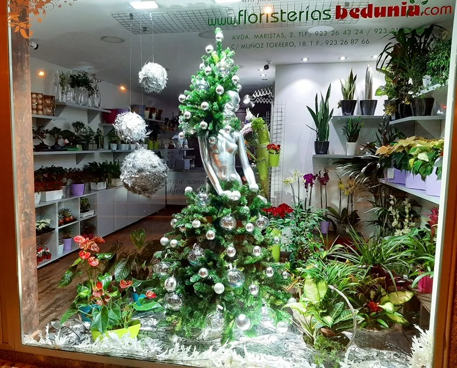 Foto 6 - Zap-Zap y Florister&iacute;a Bedunia,&nbsp;comercios ganadores del Concurso de Escaparates de Navidad&nbsp;  
