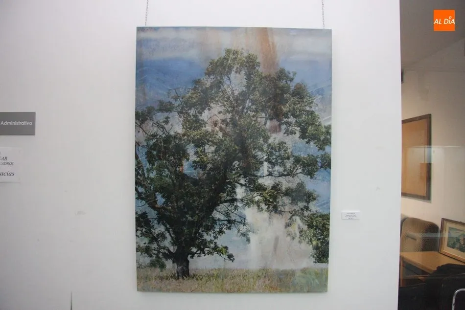 Foto 10 - El edificio San Nicol&aacute;s presenta &lsquo;Roble&rsquo;, una interesante exposici&oacute;n de pintura de Juan Jos&eacute; ...