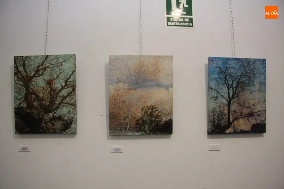 Foto 6 - El edificio San Nicol&aacute;s presenta &lsquo;Roble&rsquo;, una interesante exposici&oacute;n de pintura de Juan Jos&eacute; ...