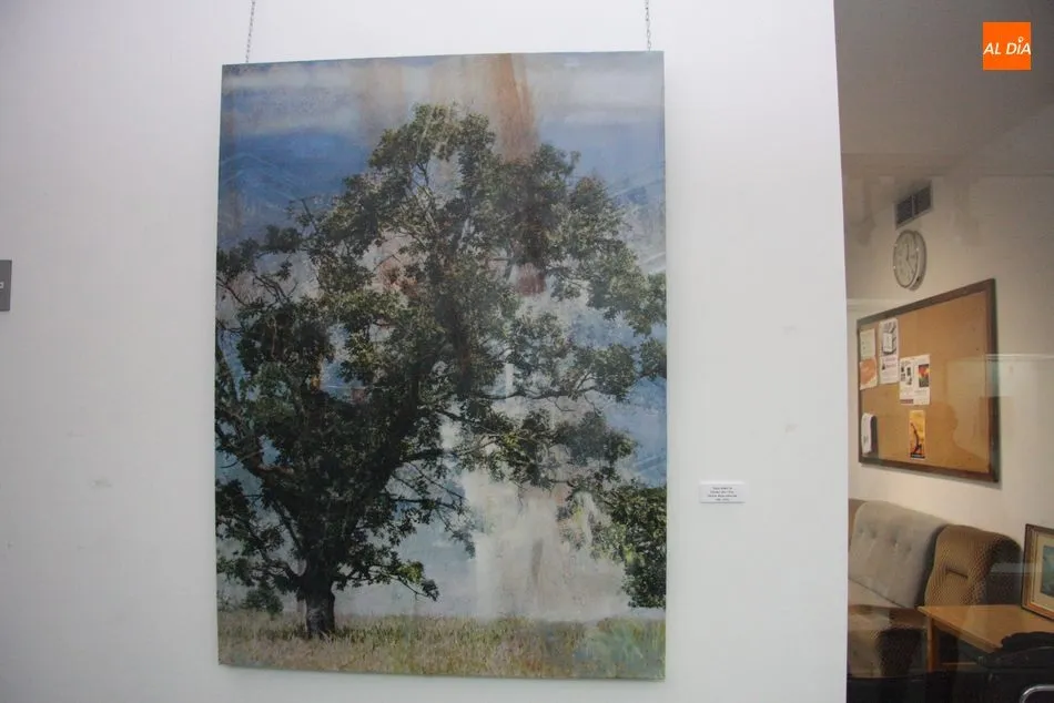 Foto 5 - El edificio San Nicol&aacute;s presenta &lsquo;Roble&rsquo;, una interesante exposici&oacute;n de pintura de Juan Jos&eacute; ...