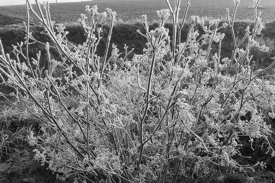 Foto 2 - El polvo m&aacute;gico del aire que impregna Bogajo