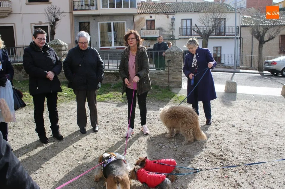Foto 6 - Las mascotas reciben su bendici&oacute;n por la festividad de San Ant&oacute;n