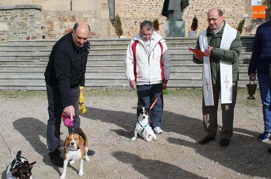 Foto 5 - Las mascotas reciben su bendici&oacute;n por la festividad de San Ant&oacute;n