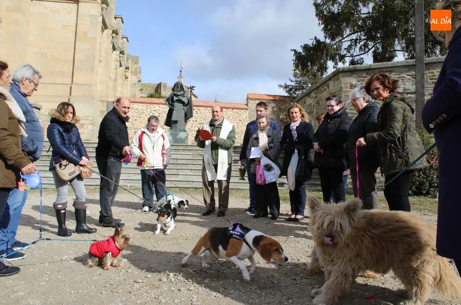 La bendición de animales y bodigos tuvo lugar en la Plaza del Peregrino