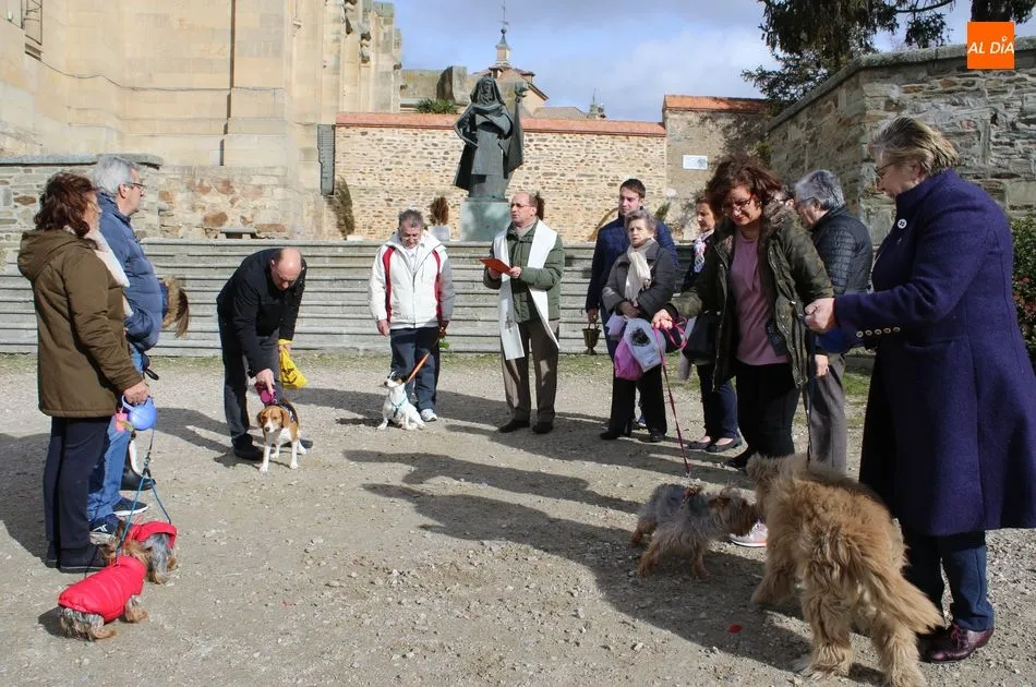 Foto 4 - Las mascotas reciben su bendici&oacute;n por la festividad de San Ant&oacute;n