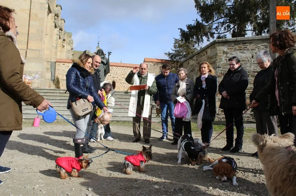 Foto 2 - Las mascotas reciben su bendici&oacute;n por la festividad de San Ant&oacute;n