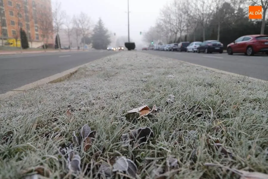 Temperaturas muy bajas con heladas generalizadas a partir del domingo  