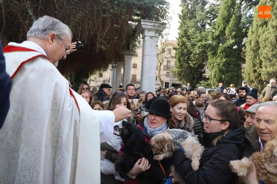 Foto 10 - Ambiente festivo en el Campo de San Francisco por la tradicional bendici&oacute;n de animales