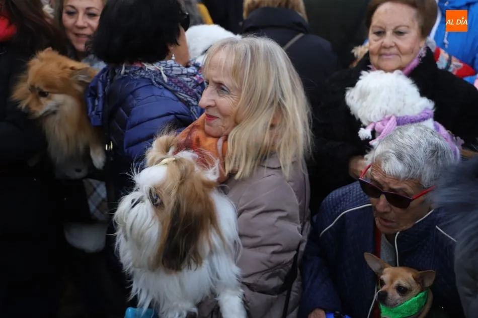 Foto 7 - Ambiente festivo en el Campo de San Francisco por la tradicional bendici&oacute;n de animales