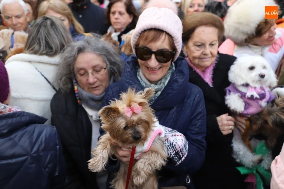 Foto 6 - Ambiente festivo en el Campo de San Francisco por la tradicional bendici&oacute;n de animales