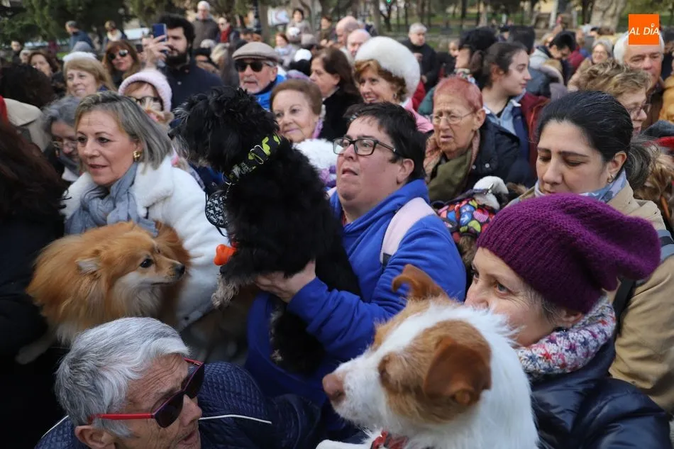 Foto 5 - Ambiente festivo en el Campo de San Francisco por la tradicional bendici&oacute;n de animales