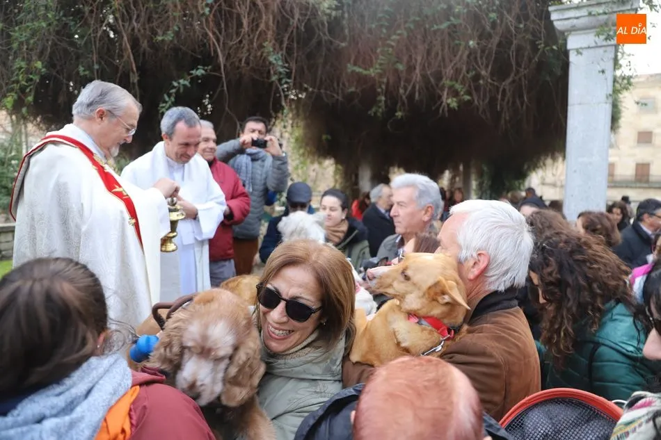 Foto 3 - Ambiente festivo en el Campo de San Francisco por la tradicional bendici&oacute;n de animales