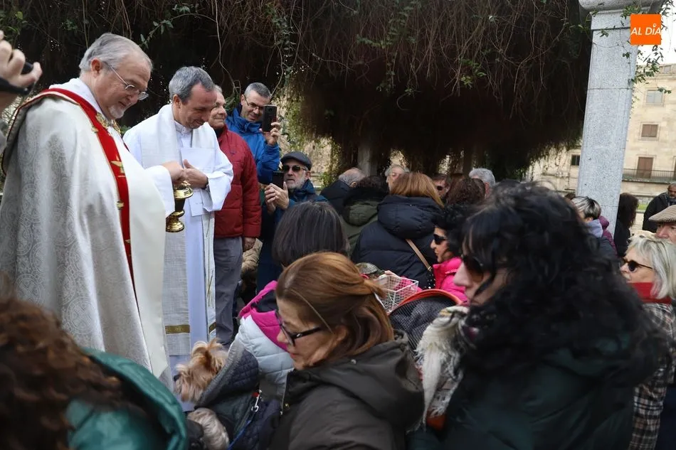 Foto 2 - Ambiente festivo en el Campo de San Francisco por la tradicional bendici&oacute;n de animales