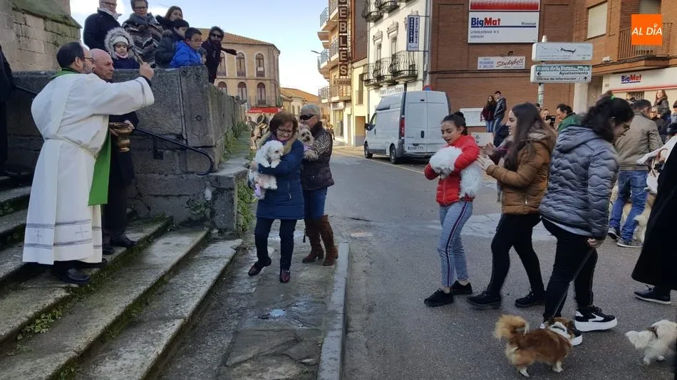 Los actos se limitarán a la misa y la bendición de animales / CORRAL