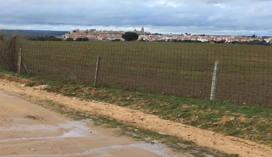 Foto 4 - El encierro a caballo saldr&aacute; del Centro Ecuestre Casasola y bajar&aacute; por la Calleja de Valhondo  