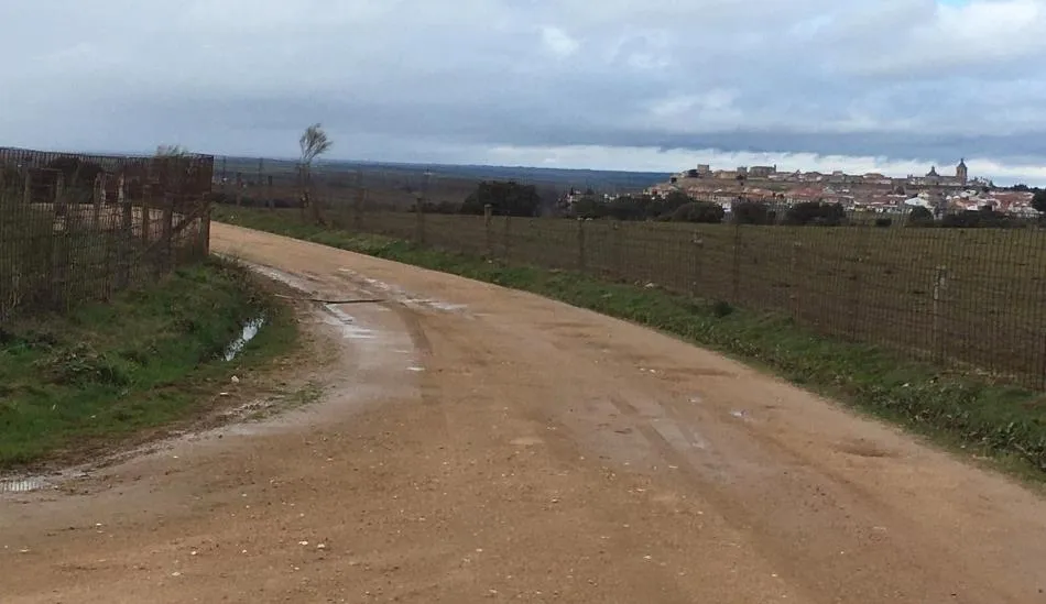 Foto 2 - El encierro a caballo saldr&aacute; del Centro Ecuestre Casasola y bajar&aacute; por la Calleja de Valhondo  