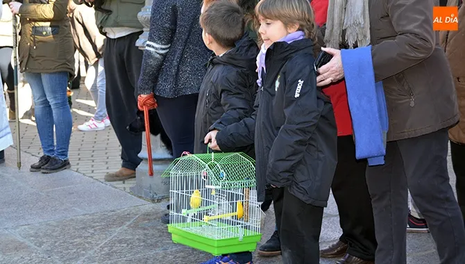 La bendición de San Antón protagoniza un festivo sábado en Peñaranda y Macotera