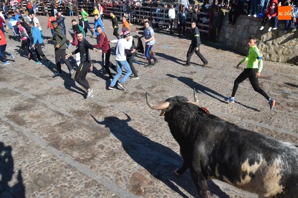Toro del Antruejo 2020 en su estancia en las calles