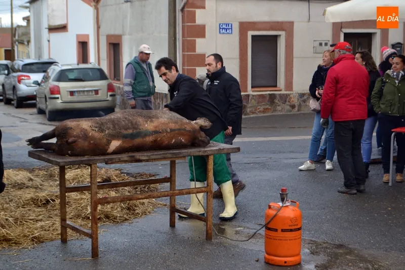Foto 11 - Villar de Gallimazo se entrega un a&ntilde;o m&aacute;s a su Matanza T&iacute;pica
