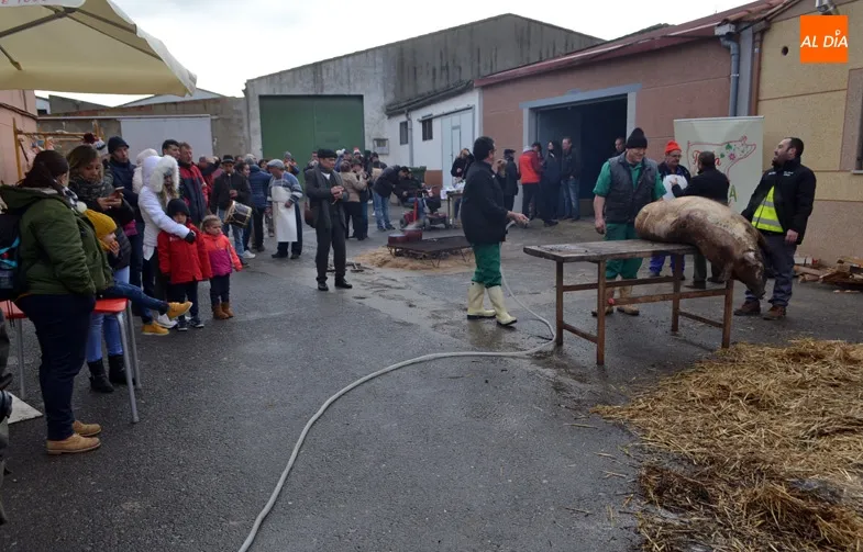 Foto 2 - Villar de Gallimazo se entrega un a&ntilde;o m&aacute;s a su Matanza T&iacute;pica