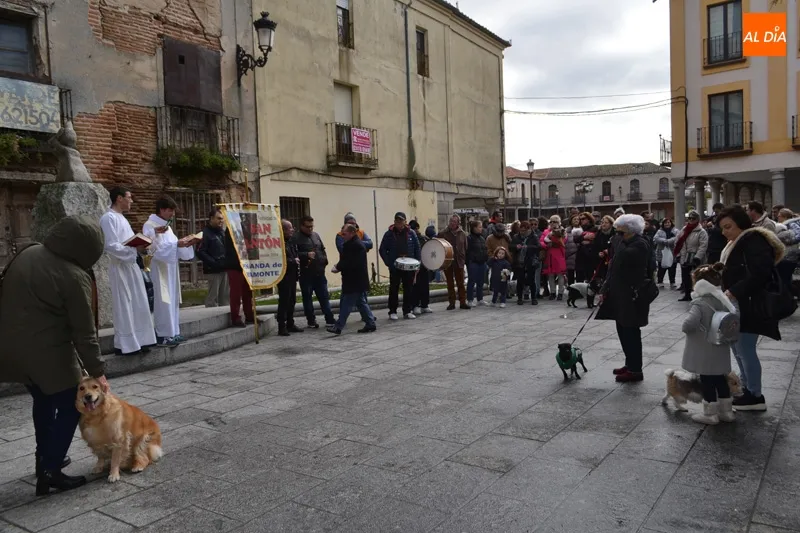 Foto 11 - Decenas de animales honran a San Ant&oacute;n participando de su bendici&oacute;n