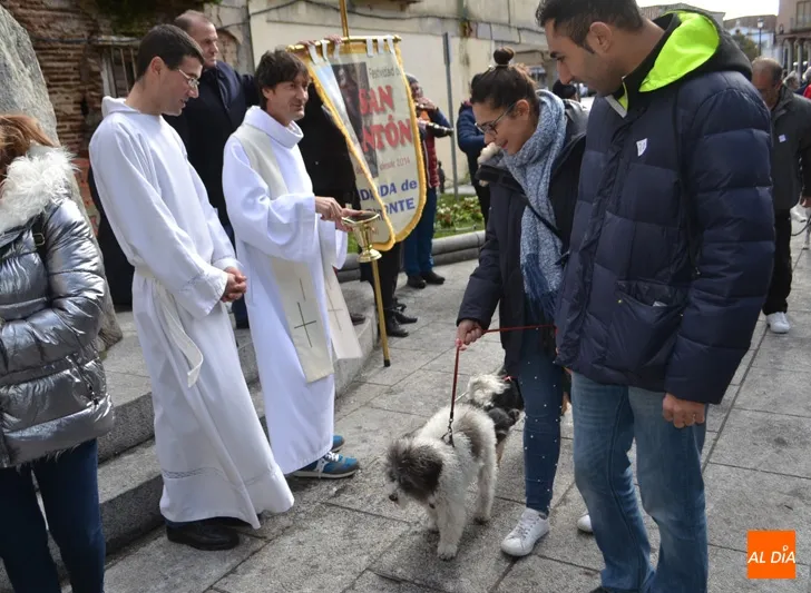 Foto 9 - Decenas de animales honran a San Ant&oacute;n participando de su bendici&oacute;n