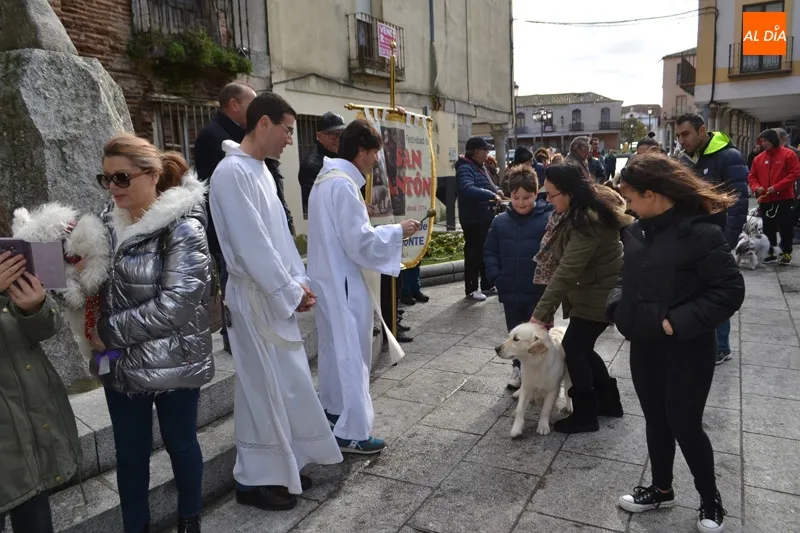 Foto 8 - Decenas de animales honran a San Ant&oacute;n participando de su bendici&oacute;n