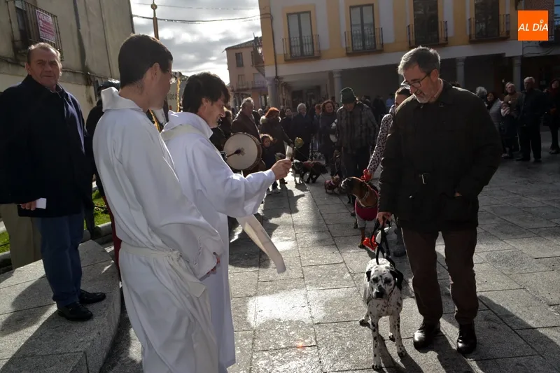 Foto 7 - Decenas de animales honran a San Ant&oacute;n participando de su bendici&oacute;n