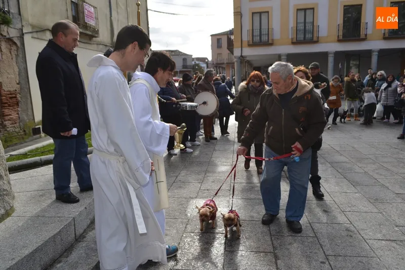 Foto 6 - Decenas de animales honran a San Ant&oacute;n participando de su bendici&oacute;n