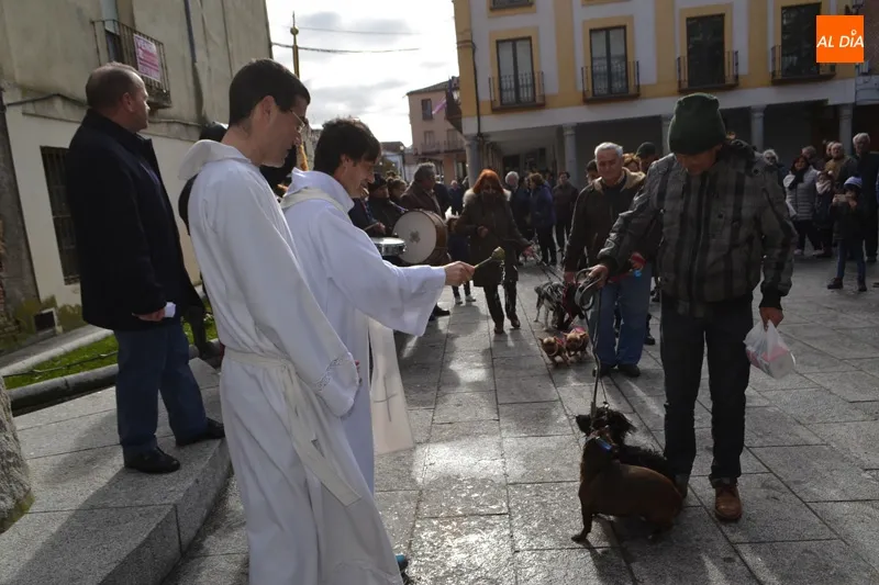 Foto 5 - Decenas de animales honran a San Ant&oacute;n participando de su bendici&oacute;n