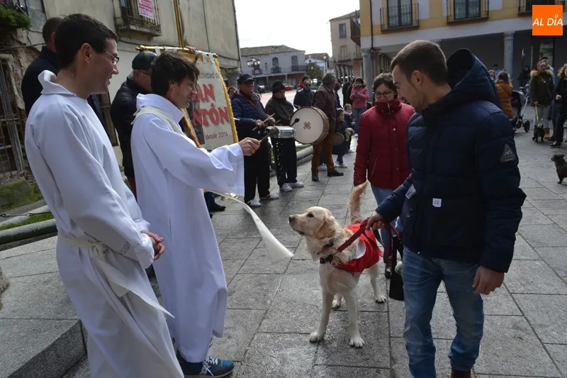 Foto 4 - Decenas de animales honran a San Ant&oacute;n participando de su bendici&oacute;n