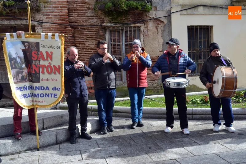 Foto 3 - Decenas de animales honran a San Ant&oacute;n participando de su bendici&oacute;n