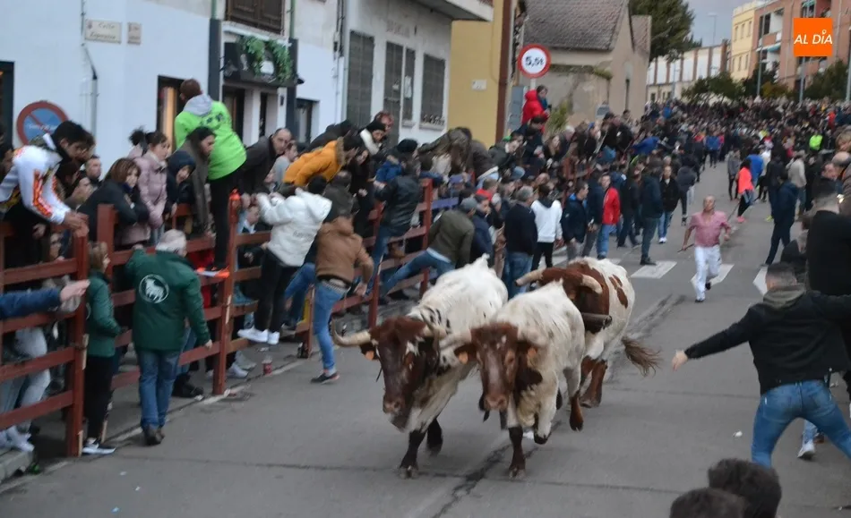 Foto 6 - Multitudinario calentamiento para el Carnaval con el estreno de la Capea del I Toro de San...
