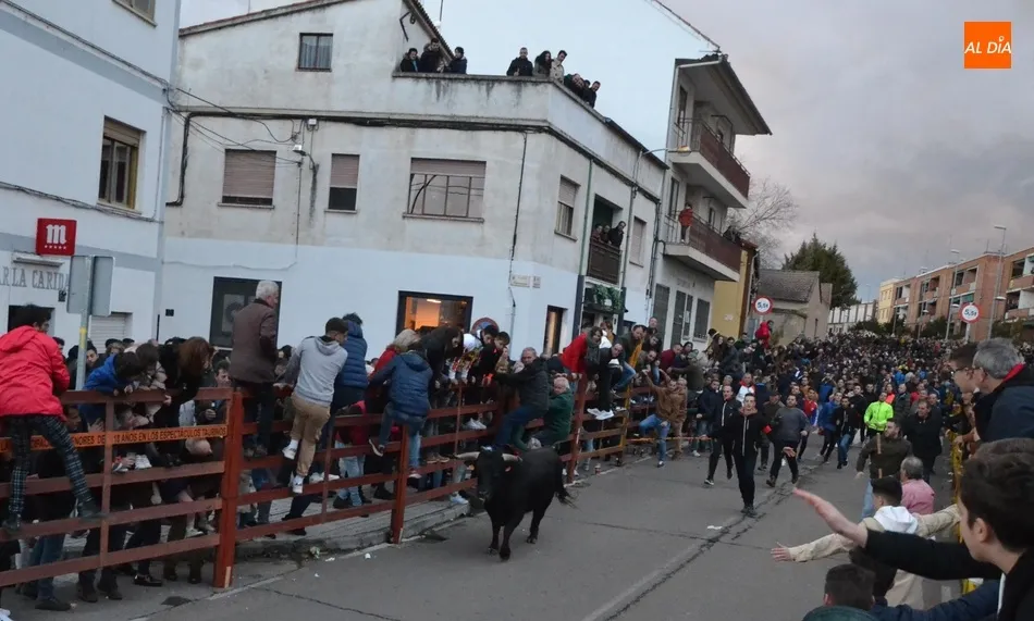 Foto 5 - Multitudinario calentamiento para el Carnaval con el estreno de la Capea del I Toro de San...
