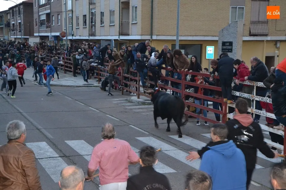 Foto 3 - Multitudinario calentamiento para el Carnaval con el estreno de la Capea del I Toro de San...