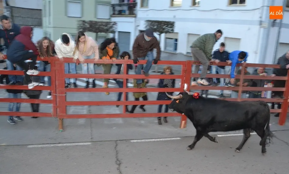 Foto 4 - Multitudinario calentamiento para el Carnaval con el estreno de la Capea del I Toro de San...
