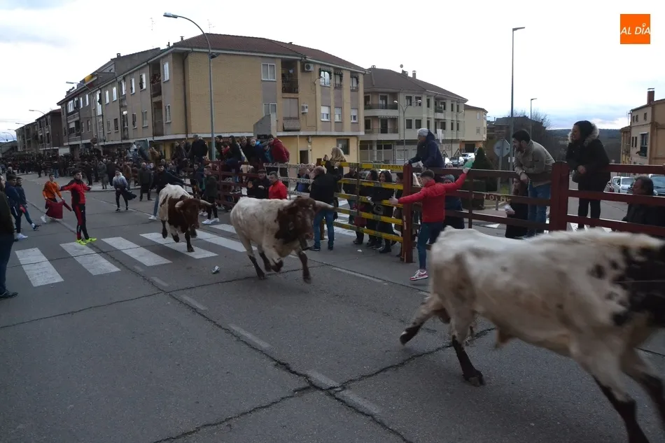 Foto 8 - Multitudinario calentamiento para el Carnaval con el estreno de la Capea del I Toro de San...