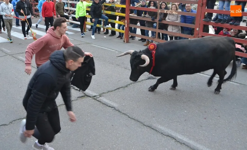 Foto 11 - Multitudinario calentamiento para el Carnaval con el estreno de la Capea del I Toro de San...