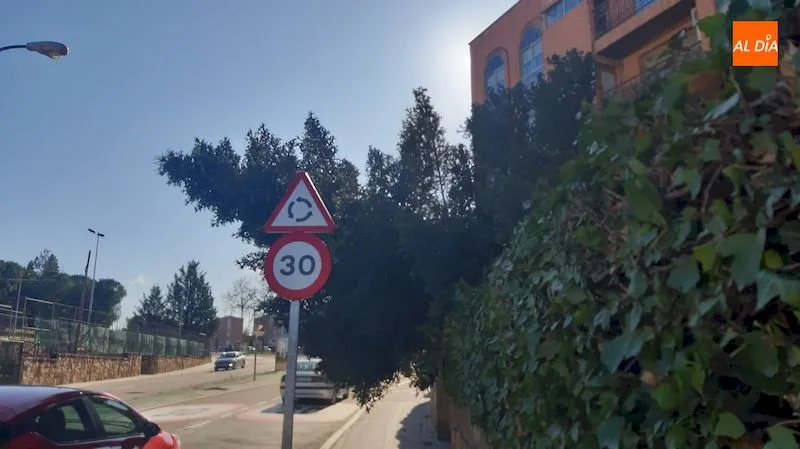Foto 8 - La borrasca Gloria derriba &aacute;rboles y obliga a cerrar parques a su paso por Salamanca