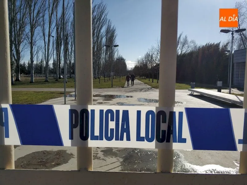 Foto 6 - La borrasca Gloria derriba &aacute;rboles y obliga a cerrar parques a su paso por Salamanca